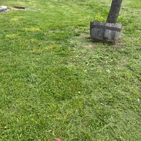Cleanups by KJM Lawn & Landscape reviewed on July 25, 2025