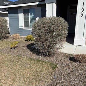 Bush Trimming by Eagle Electric Lawn Care reviewed on March 19, 2025