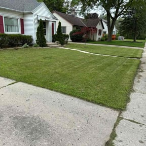 Bush Trimming by Blossom Lawn Care reviewed on May 26, 2025