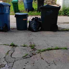 Leaf Removal by Premier lawn solutions reviewed on July 27, 2025