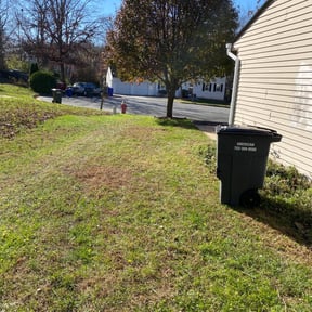 Leaf Removal by S & G Landscaping Inc reviewed on July 24, 2022