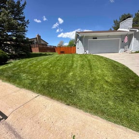 Cleanups by Nicks Lawn Care reviewed on June 29, 2025