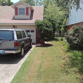 Bush Trimming by Chango Landscapes reviewed on July 26, 2022