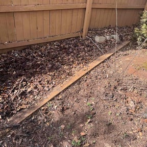 Leaf Removal by This & That reviewed on June 14, 2021