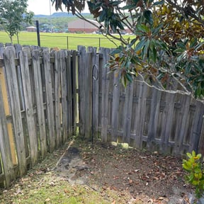 Weeding by Onyx Blade Lawncare reviewed on August 9, 2024