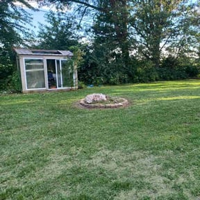 Bush Trimming by The Manicured Lawn LLC reviewed on August 12, 2024