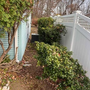 Bush Trimming by Jurgens lawn care reviewed on June 10, 2021