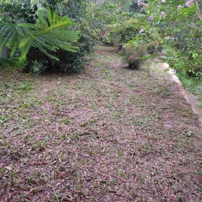 Flower Bed Weeding by Jerrel's Handyman & Lawn Service LLC reviewed on June 3, 2022