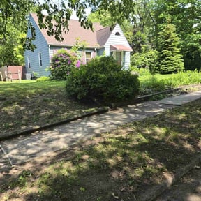 Bush Trimming by J&S lawn care and property maintenance reviewed on May 14, 2025