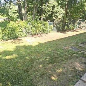 Leaf Removal by M&C Landscaping reviewed on April 26, 2025