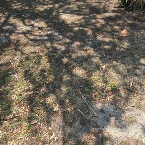 Leaf Removal by Cummings and Cummings Lawn Care reviewed on January 15, 2025