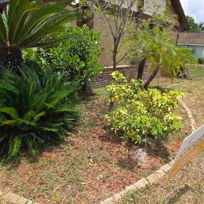 Flower Bed Weeding by Clean The Green Lawncare reviewed on July 29, 2022