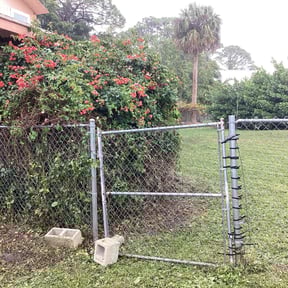 Bush Trimming by Arise Lawn And Property Maintenance reviewed on January 1, 2025