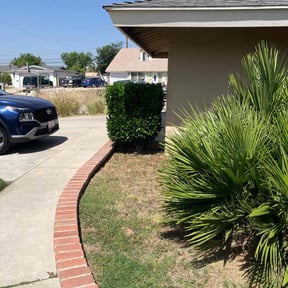 Bush Trimming by GRASSMASTERZ-COM reviewed on October 18, 2024