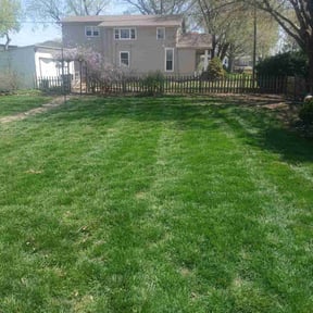 Cleanups by MTB lawn care reviewed on July 30, 2022