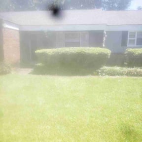 Bush Trimming by C&K Precision Lawncare reviewed on July 19, 2022