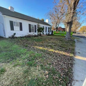 Leaf Removal by Real Deal Lawn Care LLC reviewed on May 7, 2022