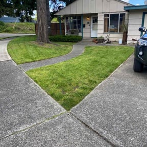 Bush Trimming by KJ's Yardworks reviewed on June 16, 2025