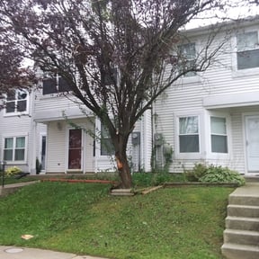 Bush Trimming by J and M Lawn Service and More LLC reviewed on September 9, 2021