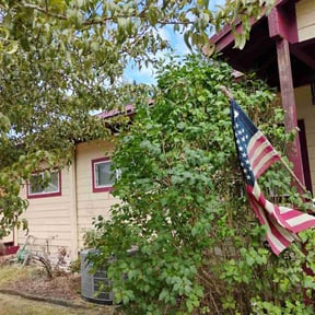 Bush Trimming by LSLTDallas/FortWorthTruGreen reviewed on September 5, 2024