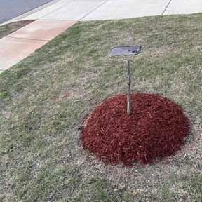 Mulching by Sargent Lawncare reviewed on October 8, 2024