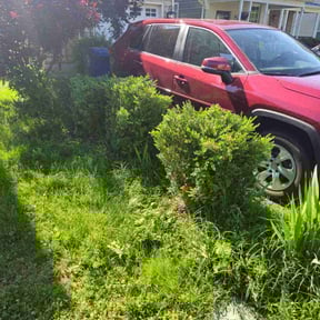 Bush Trimming by Aguilar Landscaping & Tree Services LLC reviewed on April 28, 2021