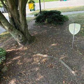 Flower Bed Weeding by Tamula Chery&quot;s Landscaping reviewed on July 19, 2022