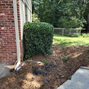 Bush Trimming by Keep it Loe Lawn Service reviewed on April 13, 2022