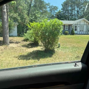 Bush Trimming by Landscapers reviewed on December 10, 2024