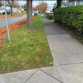 Cleanups by brett b landscaping reviewed on December 16, 2024