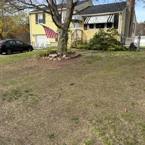 Leaf Removal by Yardscape 365 LLC reviewed on June 17, 2022