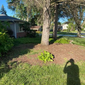 Flower Bed Weeding by Stephens Lawn Care reviewed on June 23, 2022