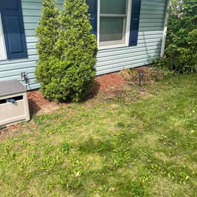 Bush Trimming by Chek'Rd Lawn Service reviewed on August 7, 2021