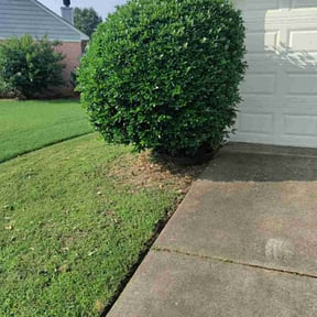 Bush Trimming by Precise Lawn Care reviewed on August 9, 2025