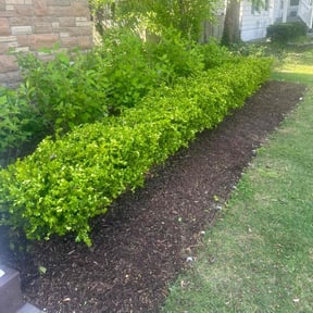 Mulching by James Schlener Lawn Service reviewed on July 27, 2022