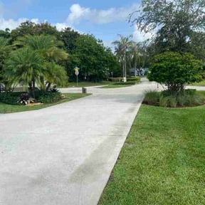 Bush Trimming by CDLandscapingFL reviewed on April 3, 2025