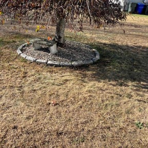 Leaf Removal by Dallas Enterprise LLC Lawn Care Services reviewed on July 20, 2022