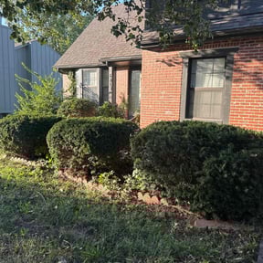 Bush Trimming by All Seasons Landscape & Hauling reviewed on June 18, 2022