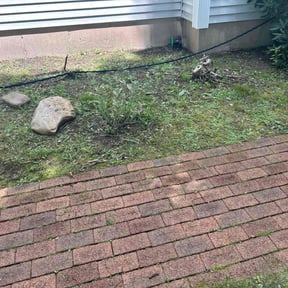 Flower Bed Weeding by Loza Lawn Care reviewed on June 8, 2022