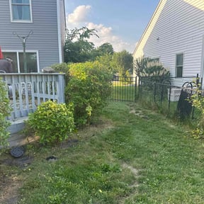 Bush Trimming by García-G lawn care service LLC reviewed on August 18, 2024