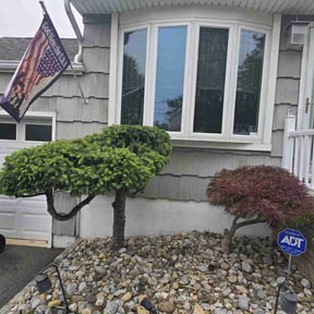 Bush Trimming by FRAMPTON'S LAWN SERVICE reviewed on May 20, 2022