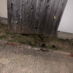 Bush Trimming by Paz Lawn Services reviewed on April 18, 2025