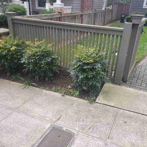 Leaf Removal by Ndebay Landscapping reviewed on September 1, 2020