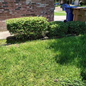 Bush Trimming by Wyatt's Lawn Care /Bad MowFos reviewed on May 7, 2025
