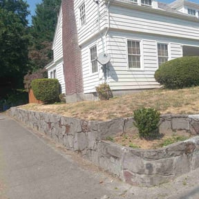 Bush Trimming by Premier Lawn Services reviewed on April 27, 2022