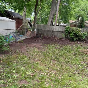 Leaf Removal by Kyle Yacko reviewed on June 16, 2025