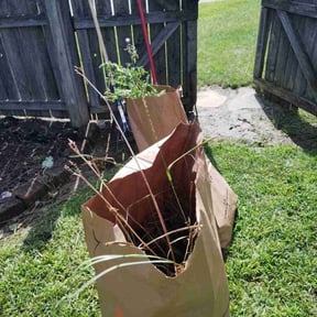 Flower Bed Weeding by Hargett lawn services reviewed on November 29, 2023