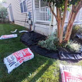 Landscaping by Anival landscaping reviewed on July 12, 2022