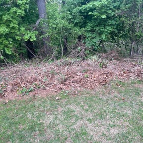 Cleanups by Allen Investments reviewed on November 18, 2021