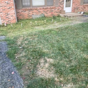 Flower Bed Weeding by We Talk Lawn and Tree reviewed on November 22, 2024